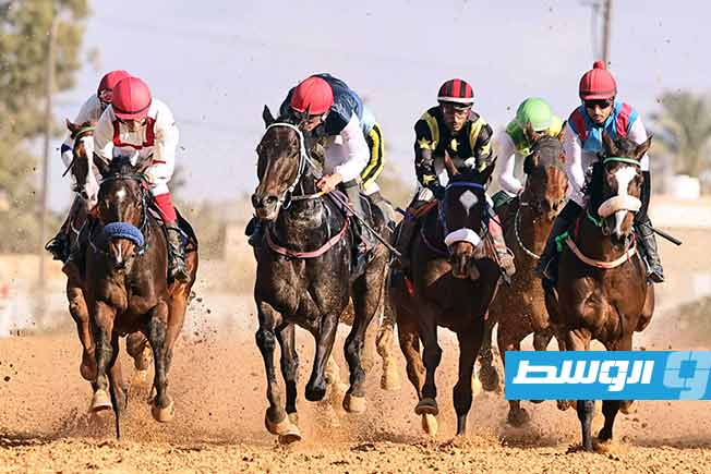 مشهد من فعاليات الأسبوع الحادي والأربعين من موسم 2025