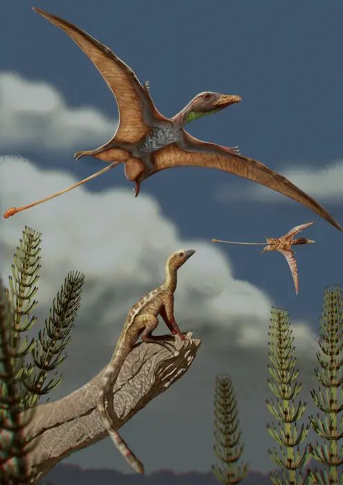 A reconstruction of a natural scene from the Late Triassic period (approximately 215 million years ago). A lagerpetid, a relative of pterosaurs, stands on a rock, watching pterosaurs flying overhead.