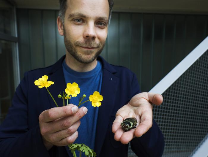 The lead author of the study holds buttercup flowers and a shiny jewel beetle