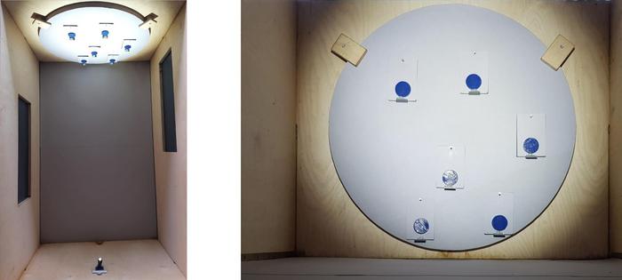 Researchers tested the effect of shininess on bumblebee vision in an experimental cage