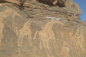 10,000-year-old rock engravings discovered in Libya’s Al-Hasawna Mountains