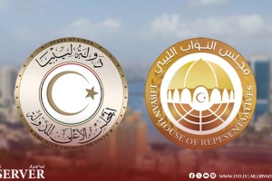 High Council of State rejects 'Public Debt Law' passed by the House of Representatives