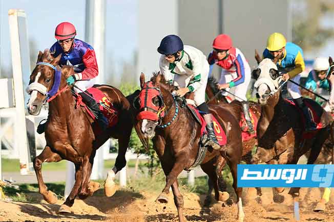 مشهد من فعاليات الأسبوع الحادي والأربعين من موسم 2025