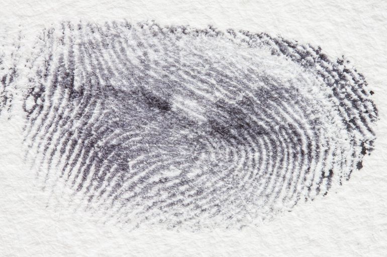 Fingerprint, Dactylogram, Papillary ridges image. Free for use.