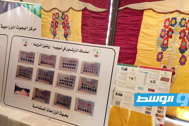 A view of the 'First Tarhuna Olive Tree Exhibition,' held at the Higher Institute of Agricultural Technologies in the Al-Khadra area.