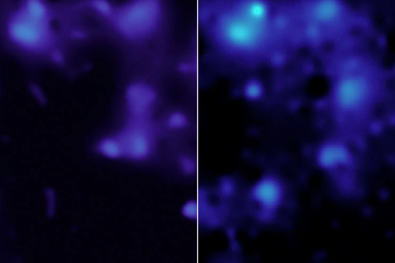 These images show the presence of dark matter in the same region of sky, created using data from NASA’s Webb telescope in 2026 (right) and from the Hubble Space Telescope in 2007 (left). Webb’s higher resolution is providing new insights into how this invisible component influences the distribution of ordinary matter in the universe