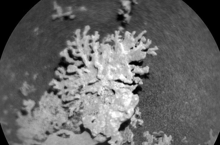 The rock branches resembling coral reefs formed billions of years ago, when Mars still retained mineral-rich bodies of water.