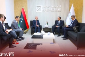 HNEC chief discusses polls with French official