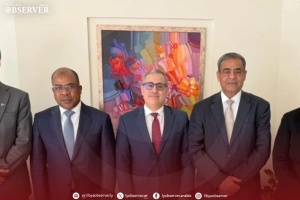 GNU plans aviation holding company as part of transport sector revival